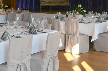 Chair covers and Padded Loungers